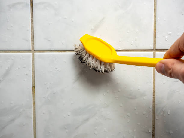 Best Toxic Mold Removal  in Fort Mill, SC